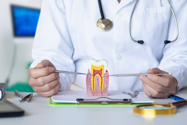 Best Emergency Denture Repair in Hilltop, MN